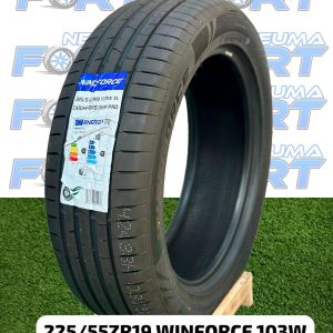 Neumático WINFORCE 225 55R19 103W XL CATCHFORS PRO